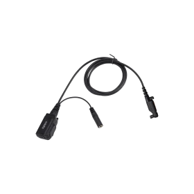 ACN_02_main.png_n.webp