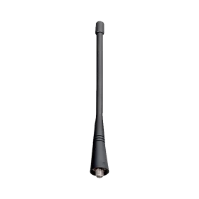 AN0495W04_main.png_n.webp